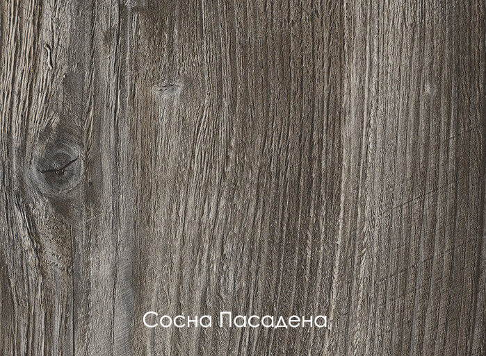 Сосна Пасадена